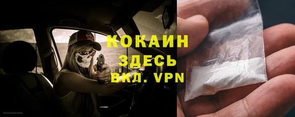 тгк Касимов