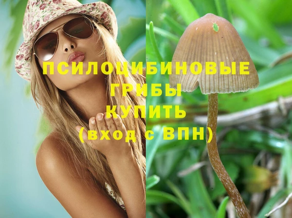 меф Карпинск
