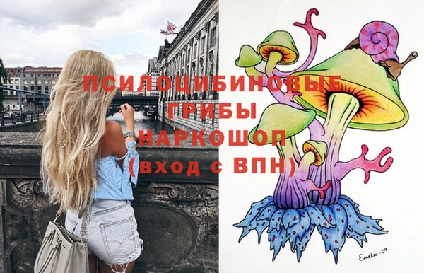 тгк Касимов