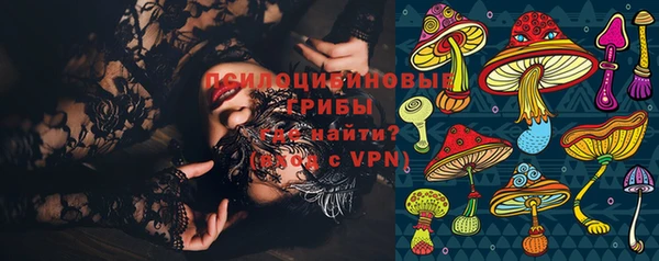 тгк Касимов