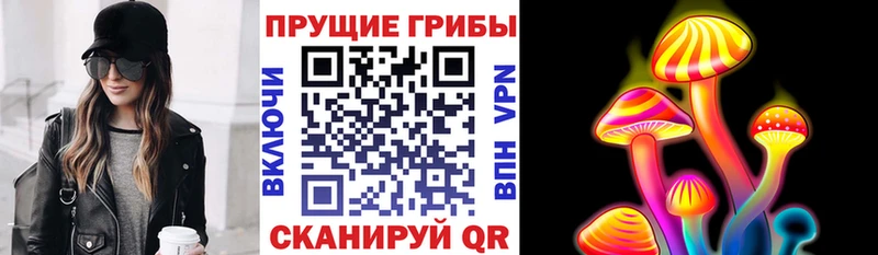 Купить где  Иркутск  Псилоцибиновые грибы MAGIC MUSHROOMS 